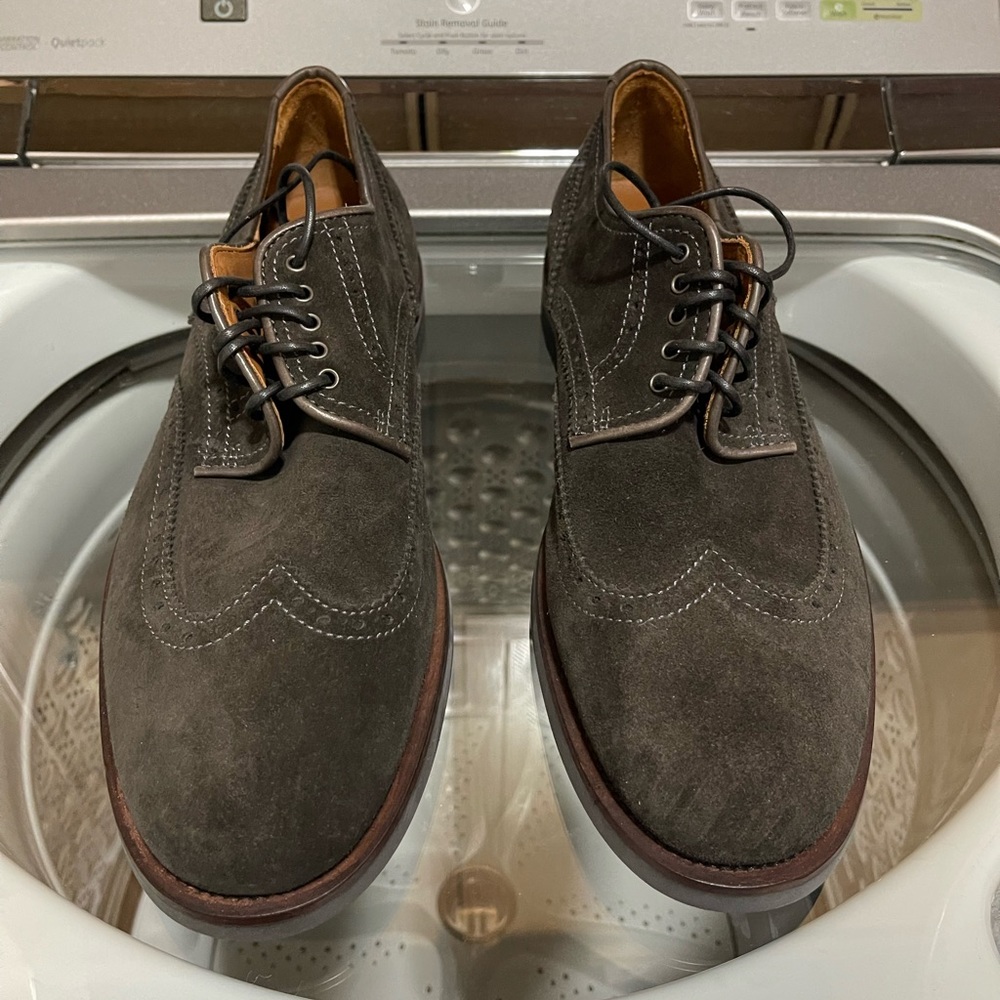 Aquatalia suede shoes